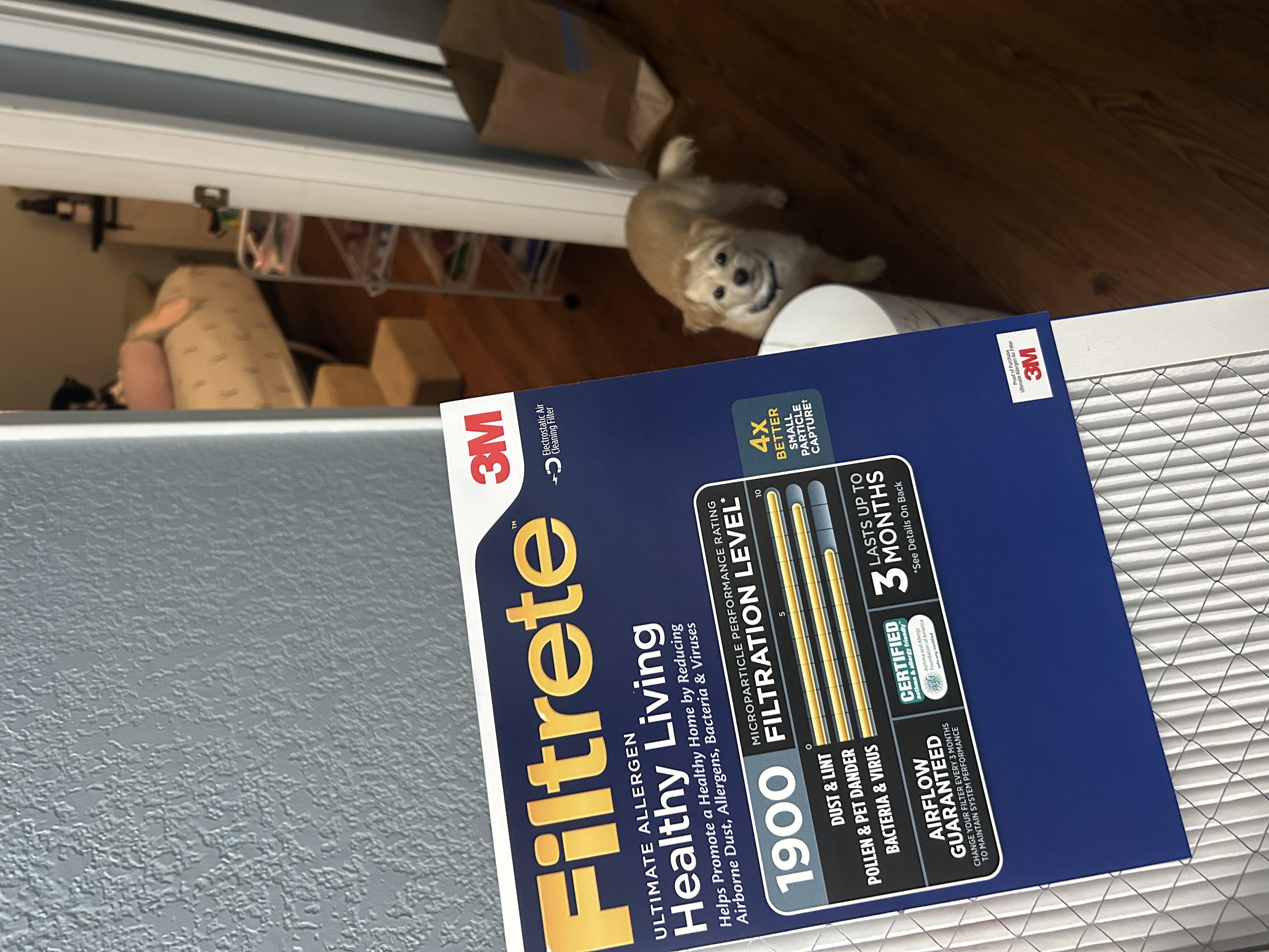 A new 3M Filtrete air filter fills the foreground of the photo, with Toffee, Elena's dog, standing in the hallway behind it near the bedroom.