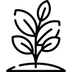 Plant icon