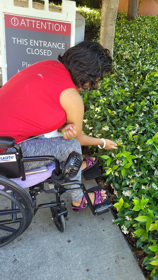 Harshini in a wheelchair outdoors, reaching toward flowering shrubs along a walkway.